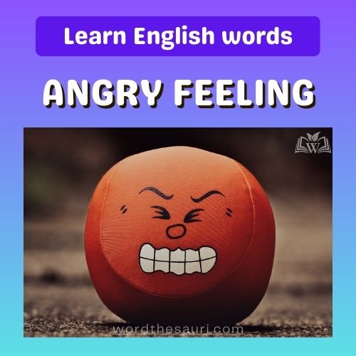 List of Angry Feeling Words